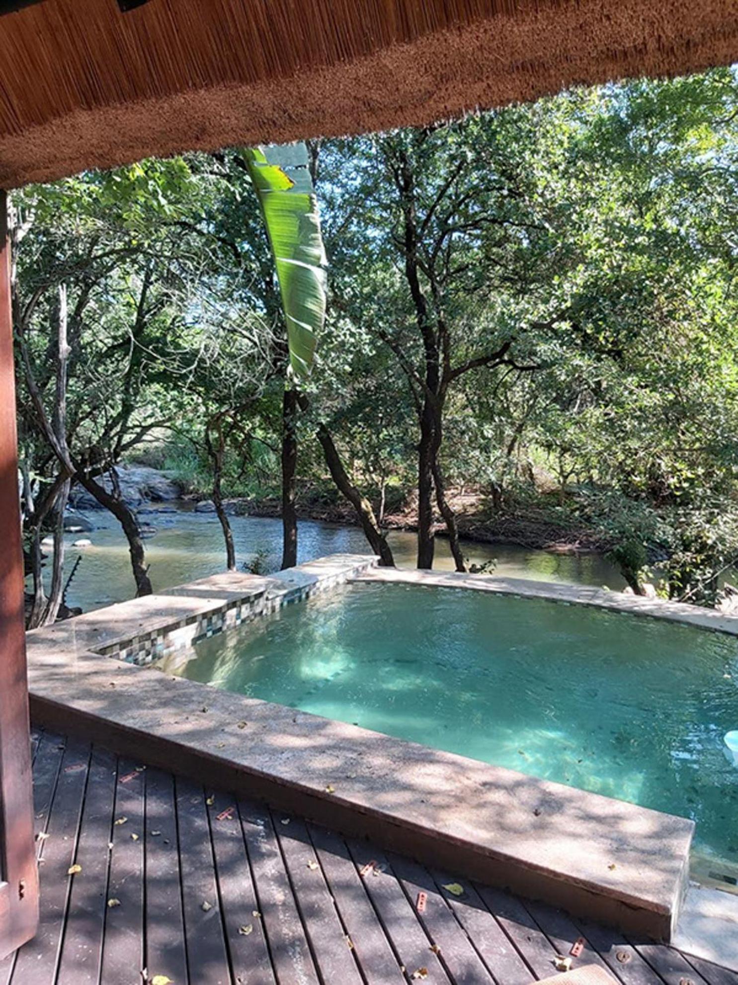 האזיביו Dreamy 3 Bedroom Villa On The Edge Of The Sabie River In Kruger Park Lodge מראה חיצוני תמונה